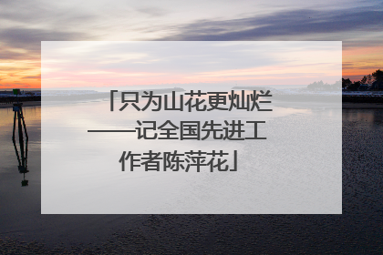 只为山花更灿烂——记全国先进工作者陈萍花