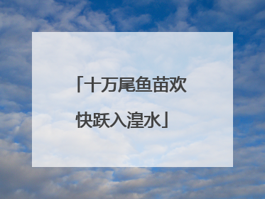 十万尾鱼苗欢快跃入湟水