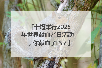 十堰举行2025年世界献血者日活动，你献血了吗？