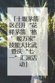 十堰茅箭区召开“花样茅箭‘格’暖万家”技能大比武暨庆“七·一”汇演活动