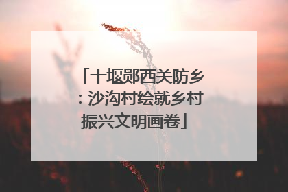 十堰郧西关防乡：沙沟村绘就乡村振兴文明画卷