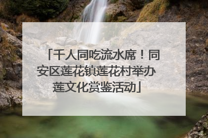千人同吃流水席！同安区莲花镇莲花村举办莲文化赏鉴活动