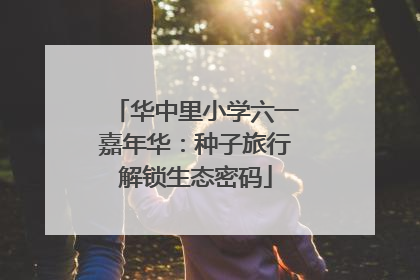 华中里小学六一嘉年华：种子旅行解锁生态密码