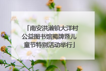 南安洪濑镇大洋村公益图书馆揭牌暨儿童节特别活动举行