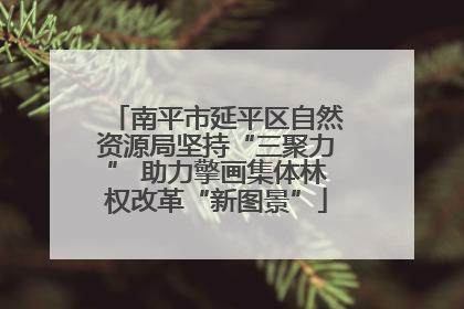 南平市延平区自然资源局坚持“三聚力” 助力擎画集体林权改革“新图景”