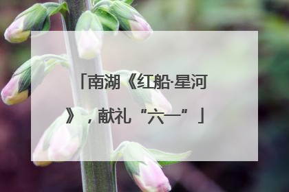 南湖《红船·星河》，献礼“六一”