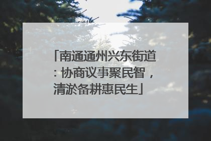 南通通州兴东街道：协商议事聚民智，清淤备耕惠民生
