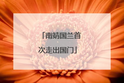 南靖国兰首次走出国门