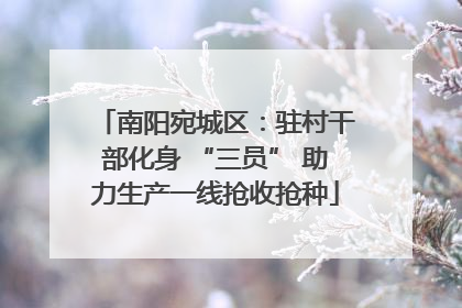 南阳宛城区：驻村干部化身 “三员” 助力生产一线抢收抢种