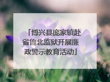 博兴县庞家镇赴省鲁北监狱开展廉政警示教育活动