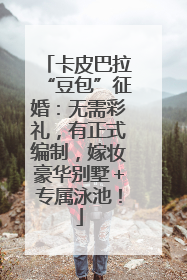 卡皮巴拉“豆包”征婚：无需彩礼，有正式编制，嫁妆豪华别墅＋专属泳池！
