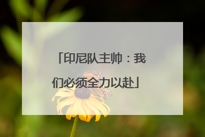 印尼队主帅：我们必须全力以赴