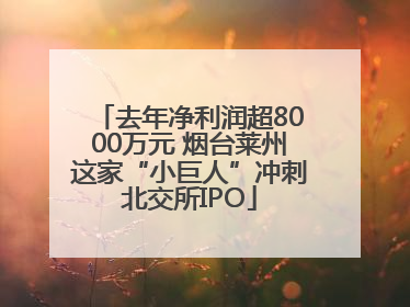 去年净利润超8000万元 烟台莱州这家“小巨人”冲刺北交所IPO