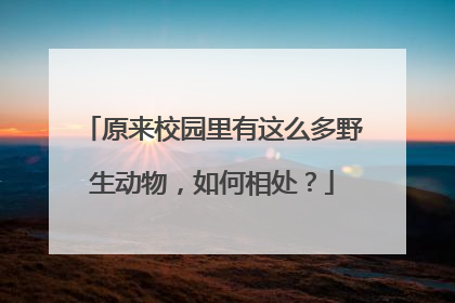原来校园里有这么多野生动物，如何相处？