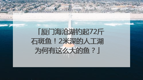 厦门海沧湖钓起72斤石斑鱼！2米深的人工湖为何有这么大的鱼？