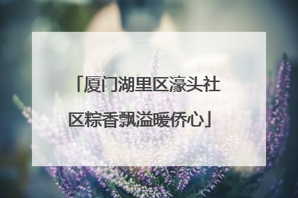 厦门湖里区濠头社区粽香飘溢暖侨心