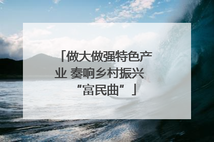 做大做强特色产业 奏响乡村振兴“富民曲”