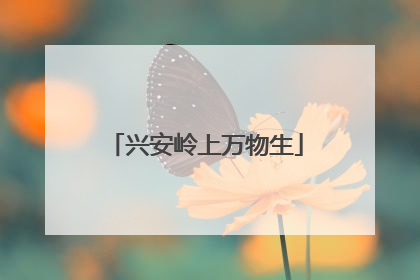 兴安岭上万物生