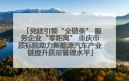 党建引领“全链条” 服务企业“零距离” 重庆市质标院助力新能源汽车产业链提升质量管理水平