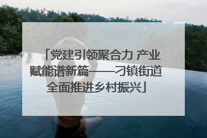 党建引领聚合力 产业赋能谱新篇——刁镇街道全面推进乡村振兴