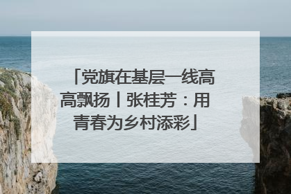 党旗在基层一线高高飘扬丨张桂芳：用青春为乡村添彩