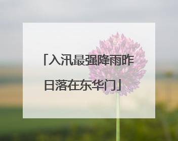 入汛最强降雨昨日落在东华门