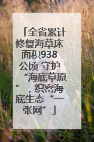 全省累计修复海草床面积938公顷 守护“海底草原”，织密海底生态“一张网”