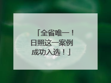 全省唯一！日照这一案例成功入选！