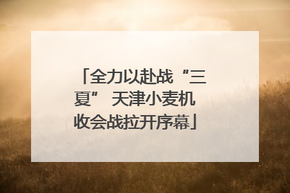 全力以赴战“三夏” 天津小麦机收会战拉开序幕