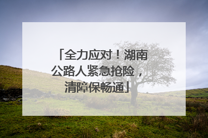 全力应对！湖南公路人紧急抢险，清障保畅通