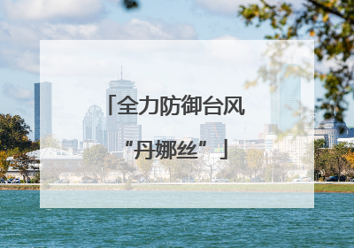全力防御台风“丹娜丝”