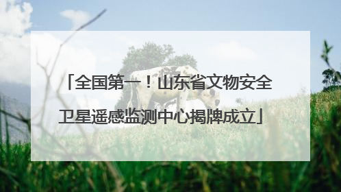全国第一！山东省文物安全卫星遥感监测中心揭牌成立