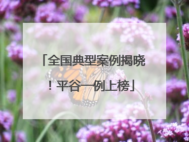 全国典型案例揭晓！平谷一例上榜