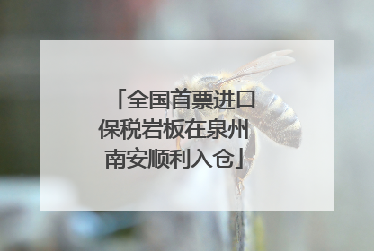 全国首票进口保税岩板在泉州南安顺利入仓