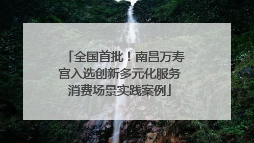 全国首批！南昌万寿宫入选创新多元化服务消费场景实践案例