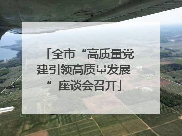 全市“高质量党建引领高质量发展”座谈会召开