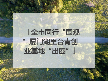 全市同行“围观”厦门湖里台青创业基地“出圈”