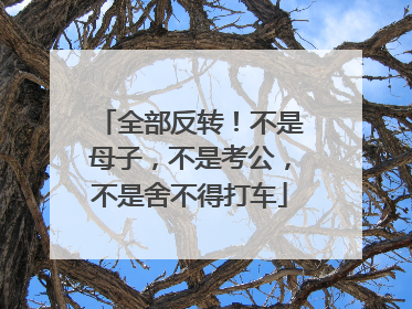 全部反转！不是母子，不是考公，不是舍不得打车