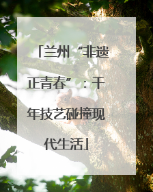 兰州“非遗正青春”：千年技艺碰撞现代生活