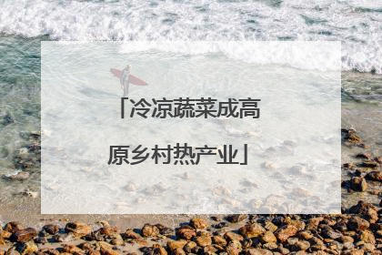 冷凉蔬菜成高原乡村热产业