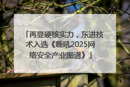 再显硬核实力，东进技术入选《嘶吼2025网络安全产业图谱》