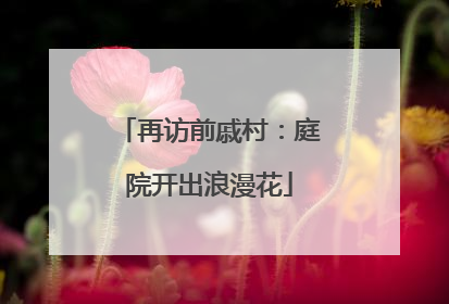 再访前戚村：庭院开出浪漫花