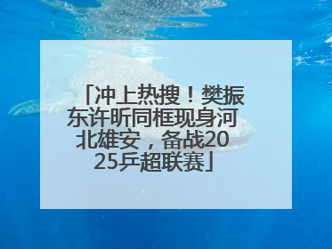 冲上热搜！樊振东许昕同框现身河北雄安，备战2025乒超联赛