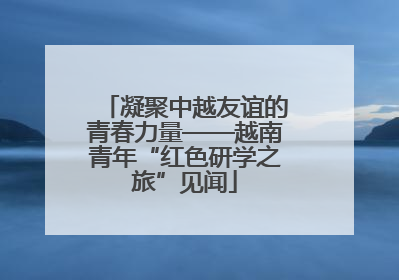 凝聚中越友谊的青春力量——越南青年“红色研学之旅”见闻