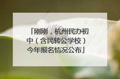 刚刚，杭州民办初中（含民转公学校）今年报名情况公布