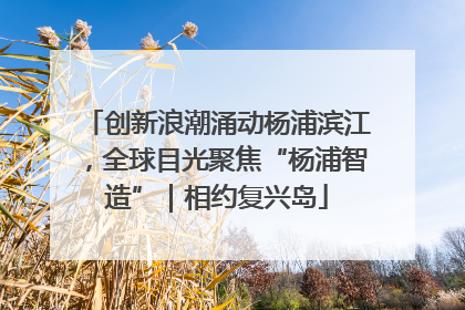 创新浪潮涌动杨浦滨江，全球目光聚焦“杨浦智造”｜相约复兴岛
