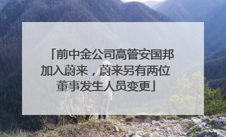 前中金公司高管安国邦加入蔚来，蔚来另有两位董事发生人员变更