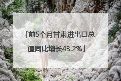 前5个月甘肃进出口总值同比增长43.2%