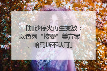 加沙停火再生变数：以色列“接受”美方案、哈马斯不认可