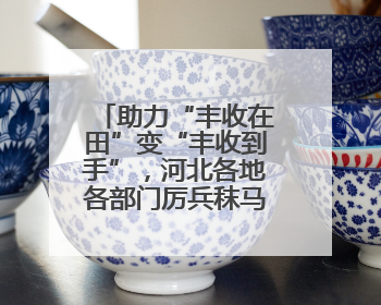 助力“丰收在田”变“丰收到手”，河北各地各部门厉兵秣马迎战“三夏”